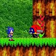 Sonic Island Adventure Game